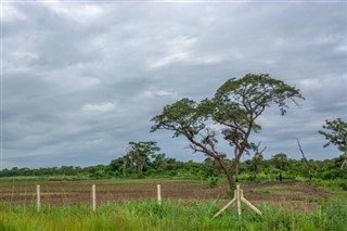 অ্যাঙ্গোলা