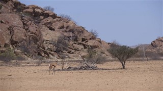 Angola