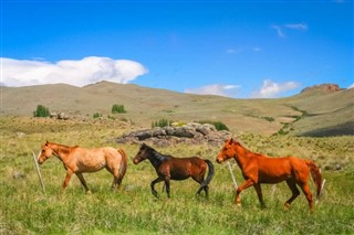 Argentinië