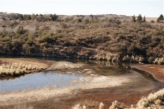 阿根廷