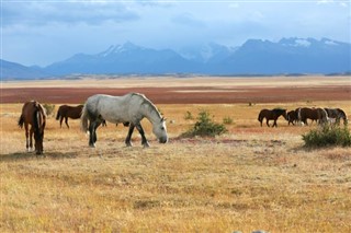 Argentinië