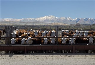 Argentinië