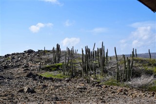 Aruba