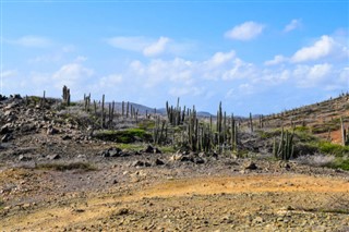 Aruba