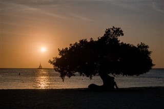 Aruba tímabelti