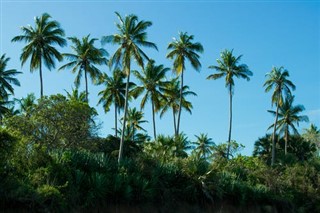 ஆஷ்மோர்