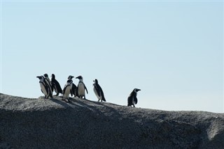 アシュモア・カルティエ諸島