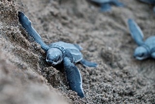 アシュモア・カルティエ諸島