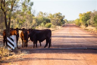 Australija