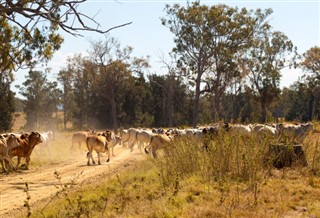 Australië