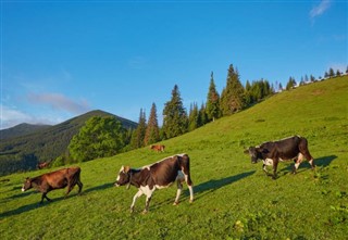 Österreich