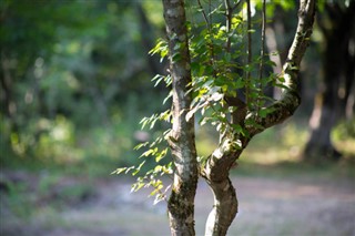 Azerbejdžan vremenske zone
