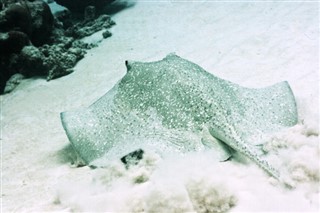 Bahamu salas laika joslas