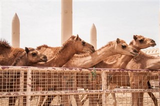 بحرین