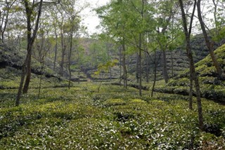 Bangladesch