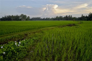 Banglades