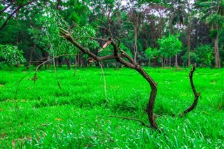 வங்காளம்