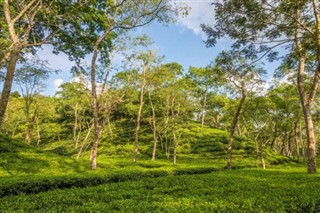 बांग्लादेश