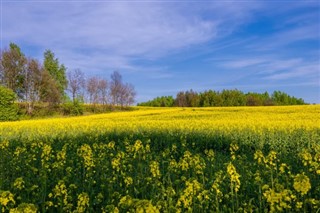 Беларусь