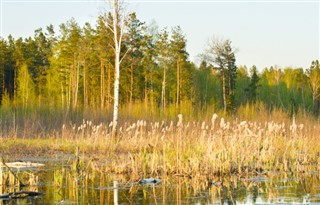 Bělorusko