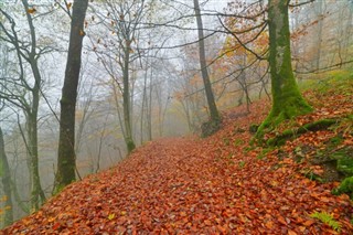 België