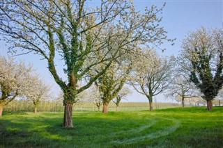 Belgija