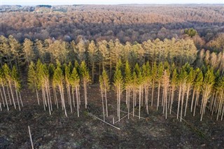 Belgique