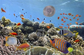 Belize vremenske zone