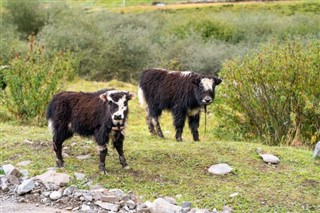 Bhutan