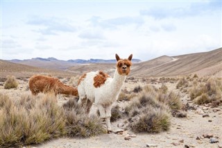 Bolivia