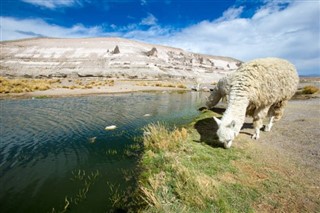 Bolivia