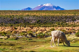 Bolivie