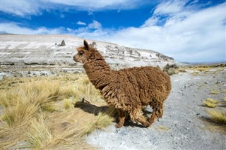 Bolivija