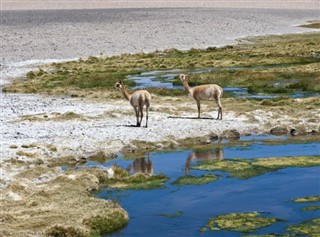 Bolivia