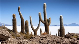 Bolivia time zones