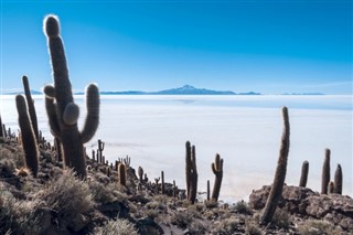 Bolivie