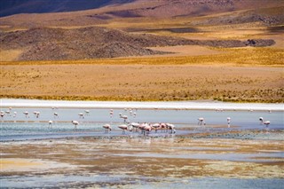 Bolivija