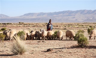 Bolivia vejrzoner
