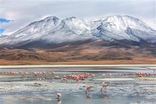 Bolivie