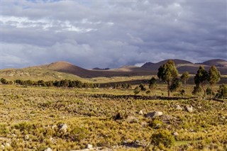 Bolivija