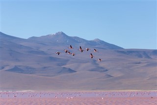 Bolivia