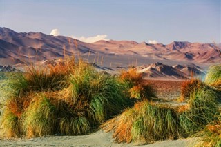 Bolivie