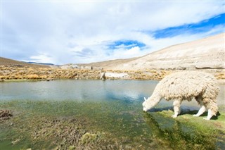 Bolivia