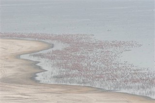 Bonaire vremenske zone
