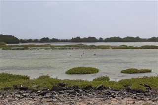 ボネール島