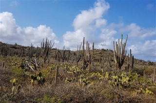 Bonaire