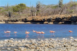 Bonaire