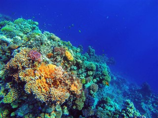 ボネール島