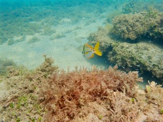 Bonaire