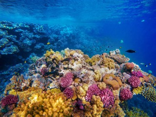 ボネール島